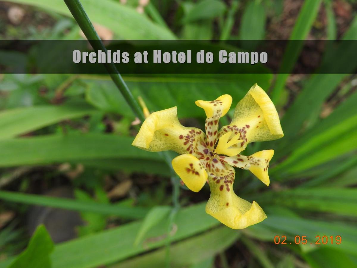 Hotel De Campo Cano Negro Exterior foto